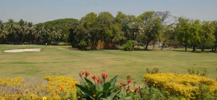 Willingdon Sports Club