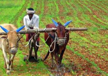 Agricultural Farm Tour – India