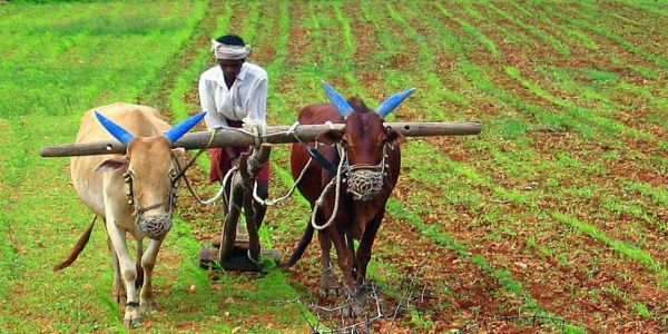 Agricultural Farm Tour – India