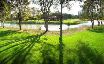 Golf in the Garden City, Bangalore