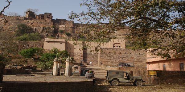 Golden Triangle + Ranthambore