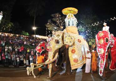 Kandy Festival Tour – Sri Lanka