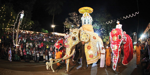 Kandy Festival Tour – Sri Lanka
