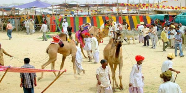 Nagaur & Desert Festival Rajasthan