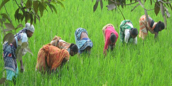 Culture & Nature of Bangladesh