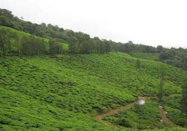 Karnataka Splendor