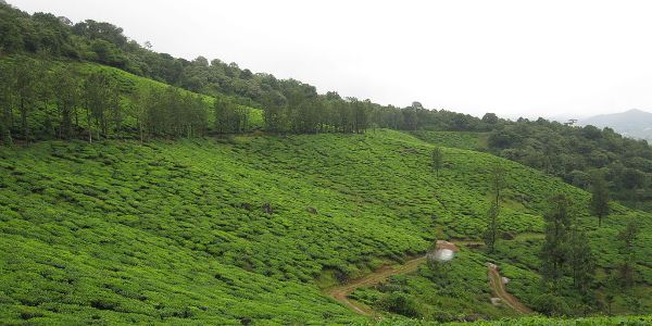 Karnataka Splendor