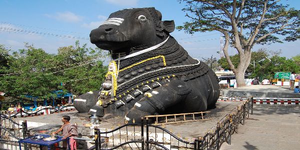 Culture of Karnataka with Wildlife