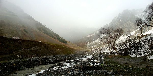 Glimpses of Kashmir + Ladakh