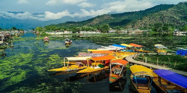 Scenic Kashmir + Ladakh