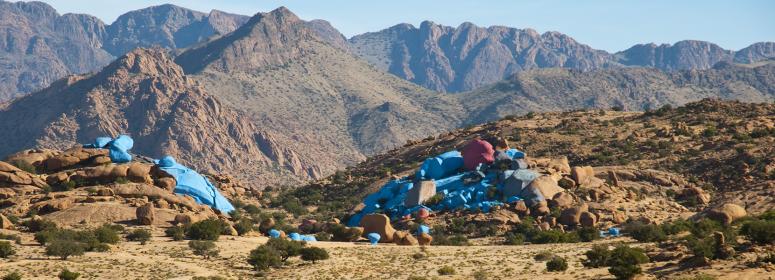 Nature in Morocco