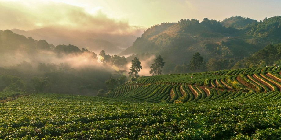 Doi-Ang-Khang-province-thailand