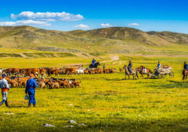 Central Mongolia