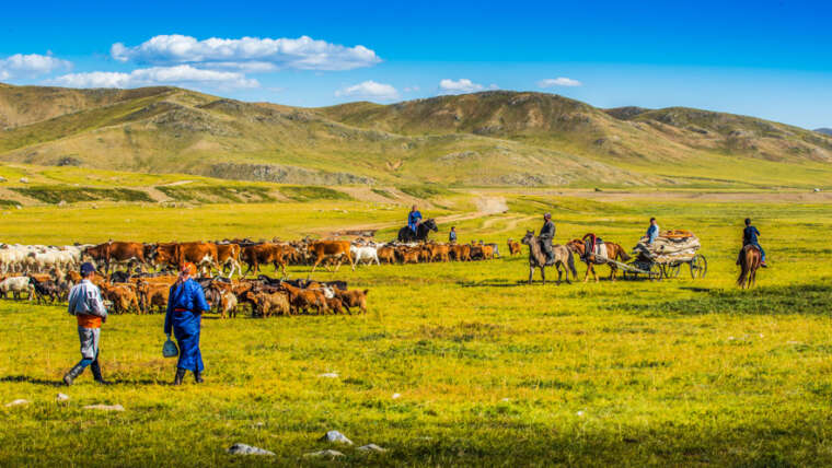 Central Mongolia