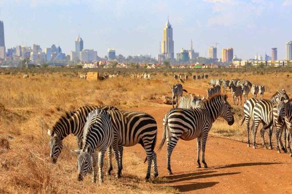 Highlights of Kenya