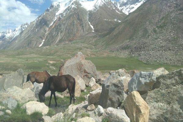 Ladakh Splendor TUTC Camps
