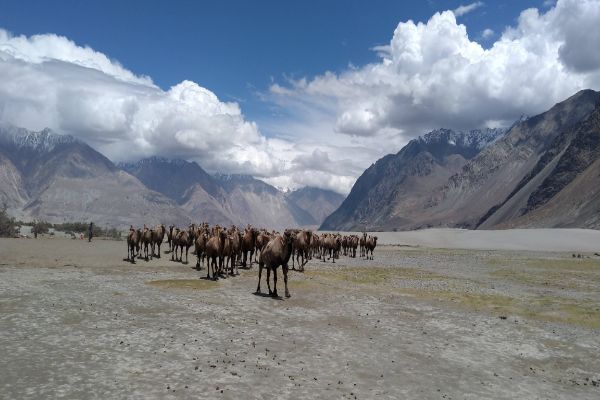 Beautiful Ladakh