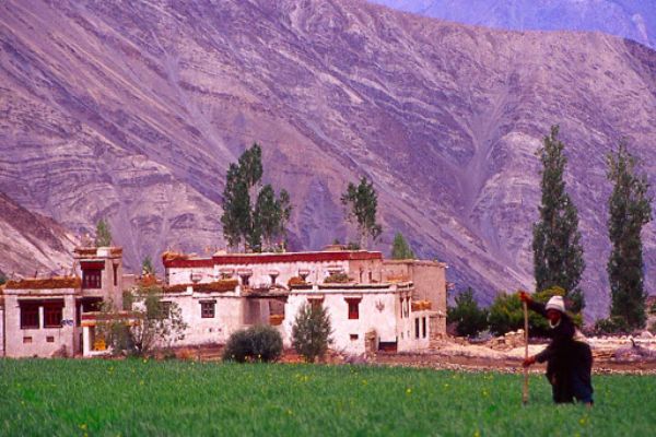 Ladakh Shakti Himalaya Tour