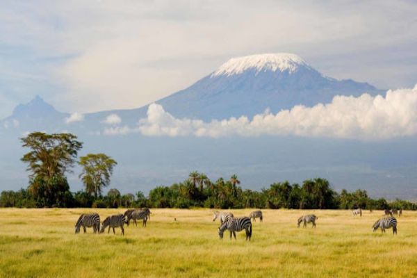 Mt Kilimanjaro Climb