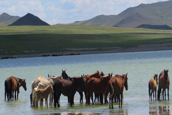 Tour of Mongolia