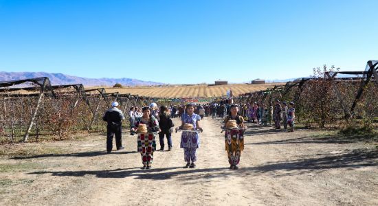 Cultural Tourism in Uzbekistan