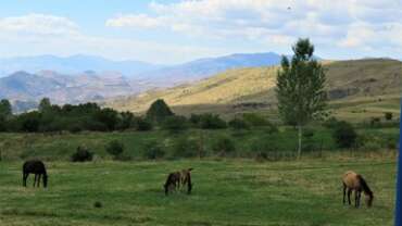 Nature & Wildlife in Armenia