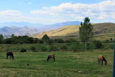 Nature & Wildlife in Armenia