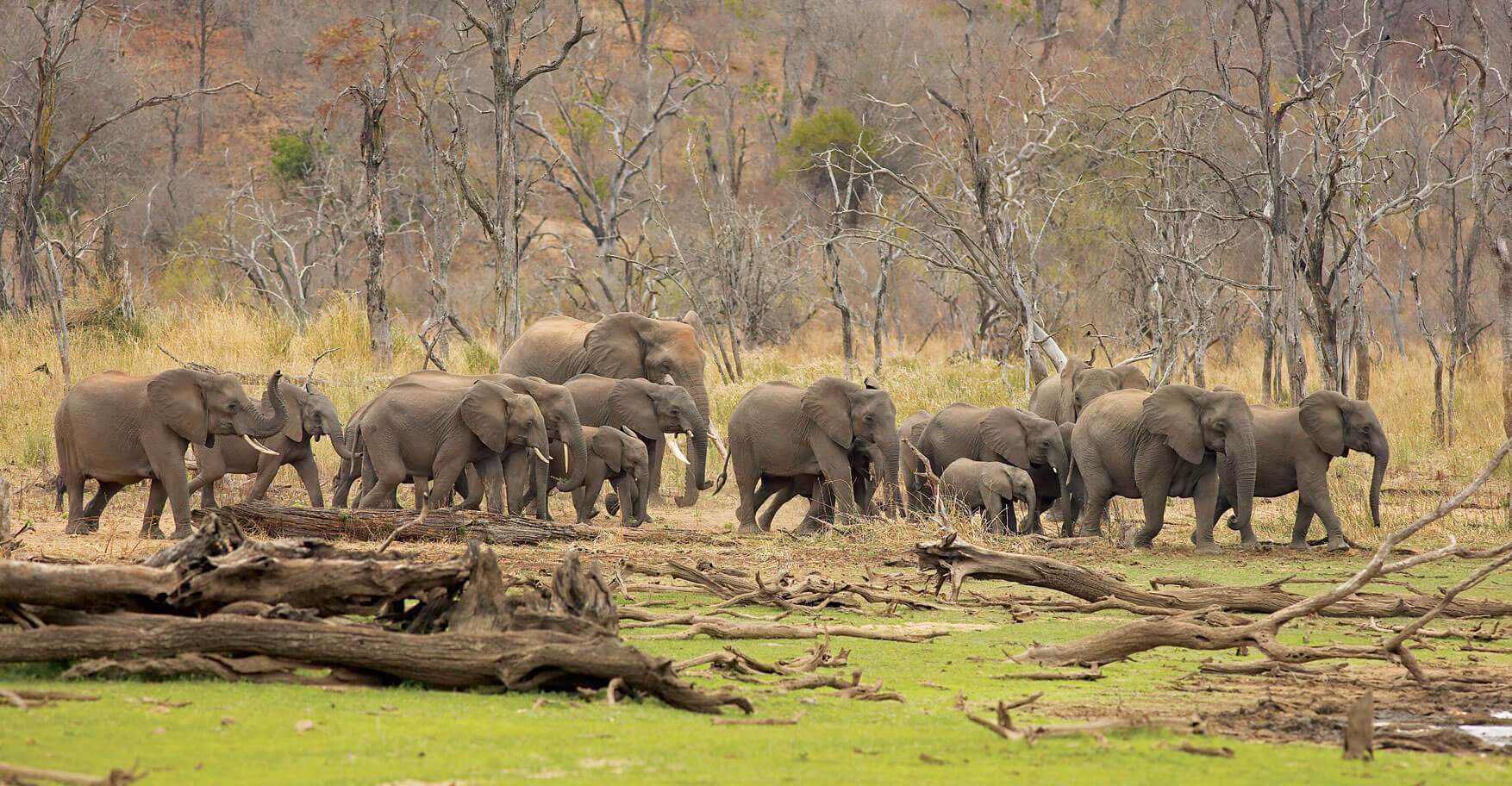 lemco safari area zimbabwe