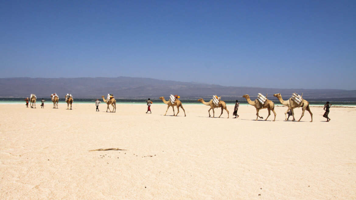 Natural Tourist Sites in Djibouti