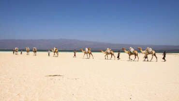 Natural Tourist Sites in Djibouti