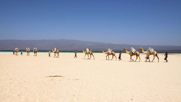 Natural Tourist Sites in Djibouti