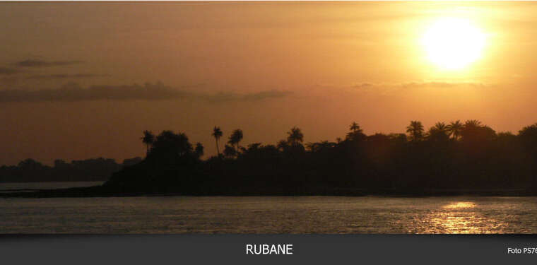 Forests of Guinea Bissau