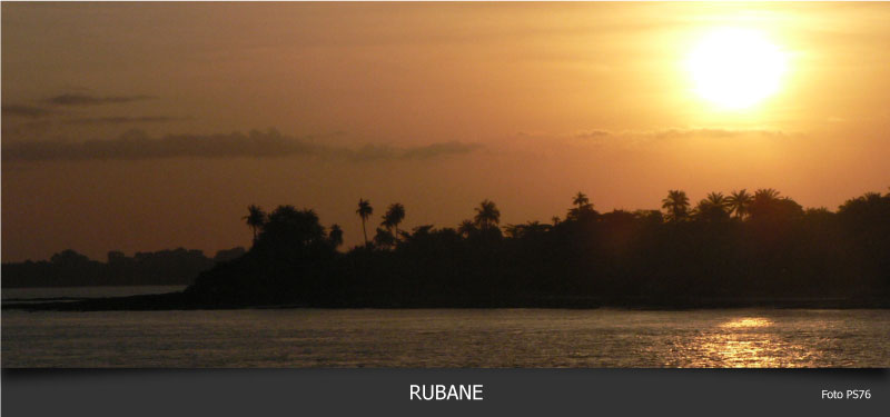 Forests of Guinea Bissau