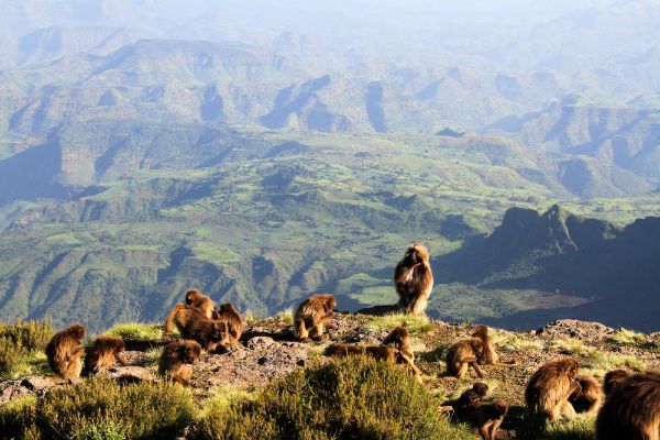 Discover Ethiopia