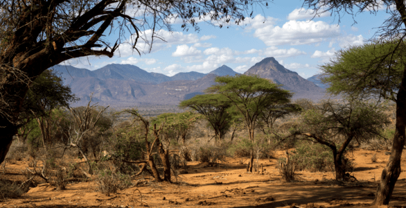 Northern Kenya