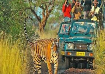 Rajasthan & Safari with Oberoi Hotels