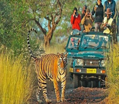 Rajasthan & Safari with Oberoi Hotels