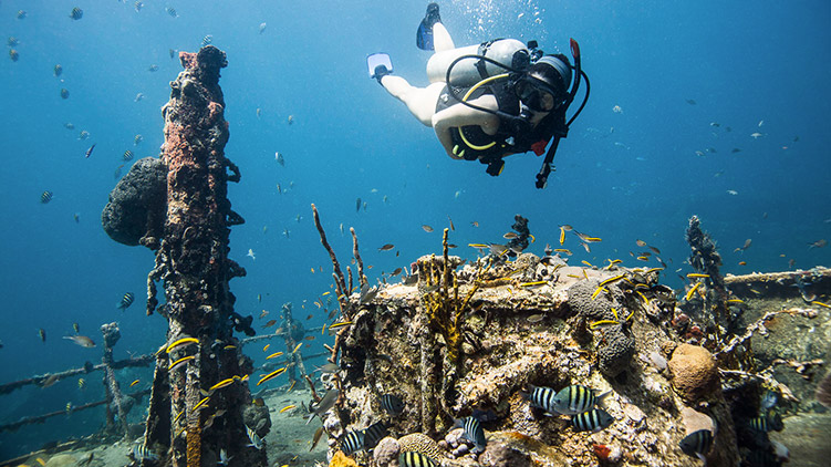 Diving in St. Kitts & Nevis