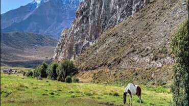 Nature in Ecuador