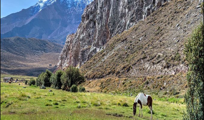 Nature in Ecuador