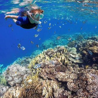 coral-reef-oceans-without-borders.jpg