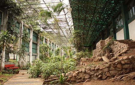 botanical-garden