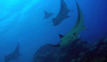 Nature Activities in Micronesia