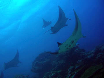 Nature Activities in Micronesia