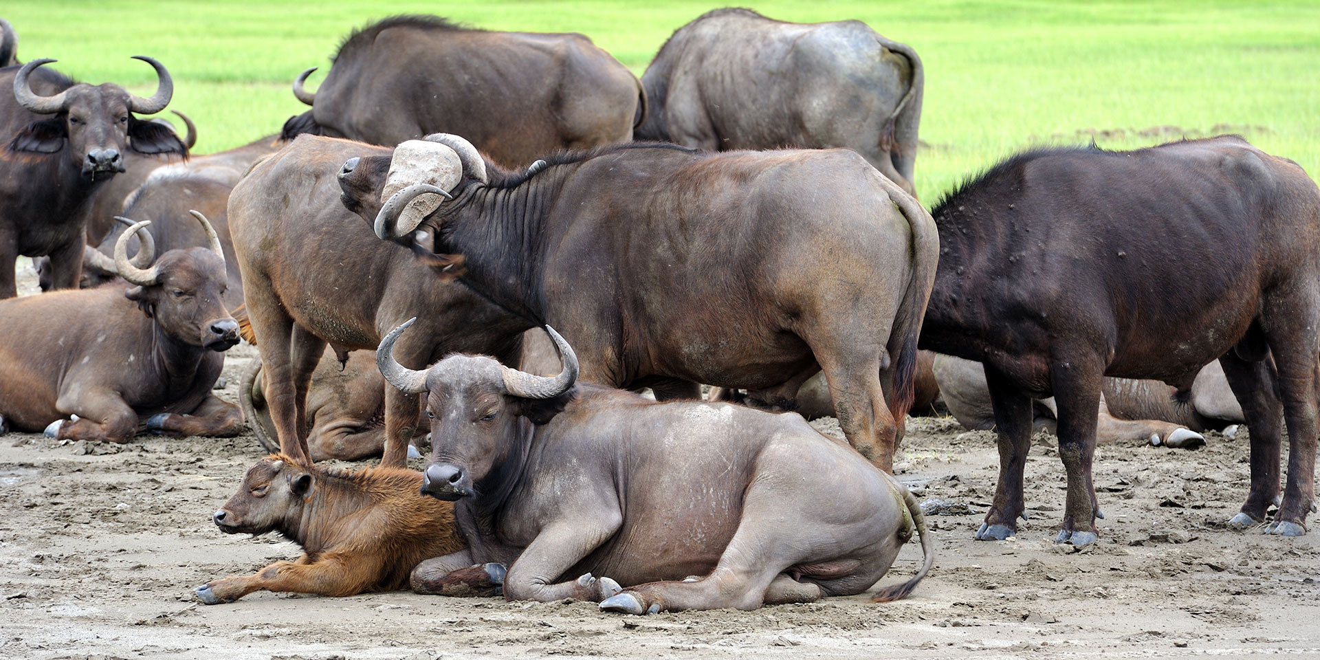 mtkenyanationalpark