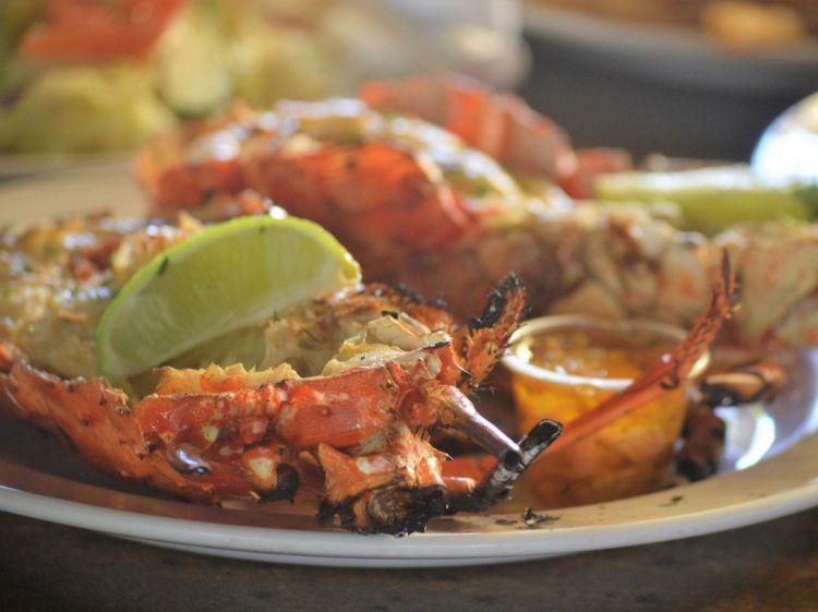 reggae-beach-bar-restaurant-3-md