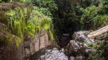 Wellness in El Salvador