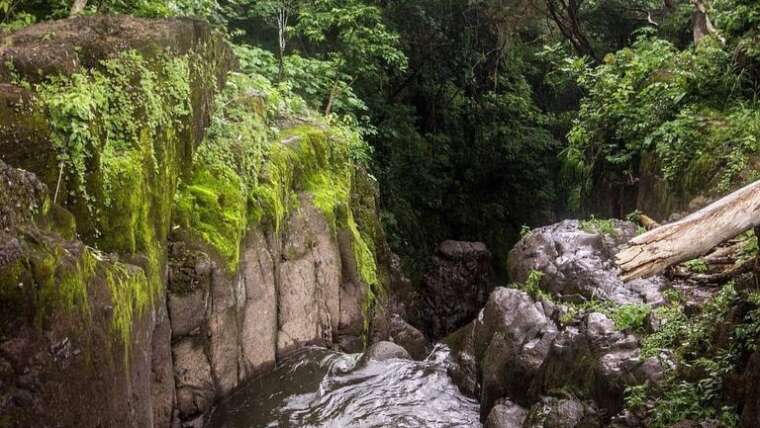 Wellness in El Salvador