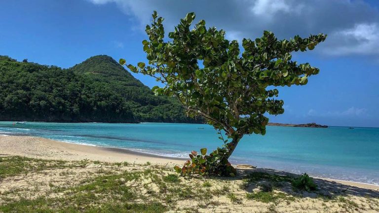 Beaches in Antigua and Barbuda