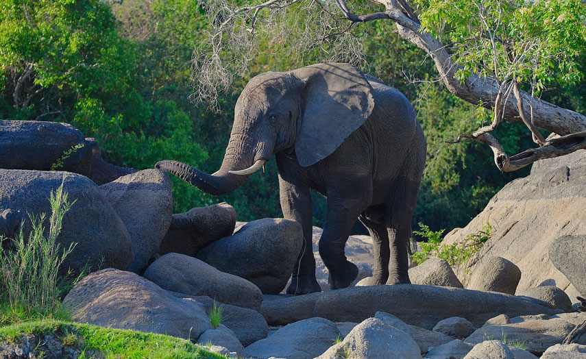 National Parks in Zambia